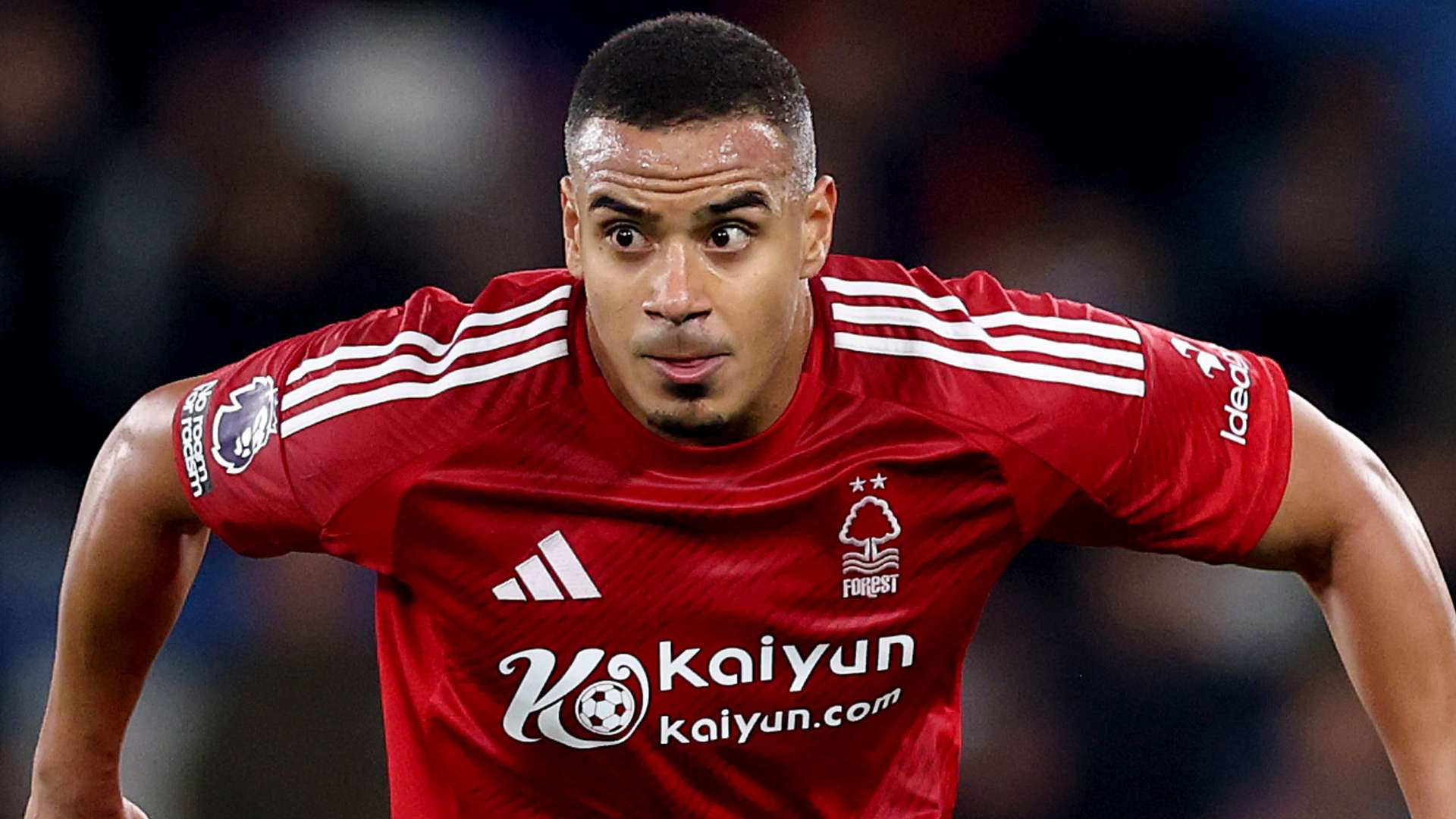 还有市场环 还有市场环